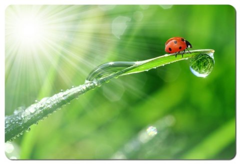 Esperanza Podkładka pod mysz Esperanza Foto Mix EA133