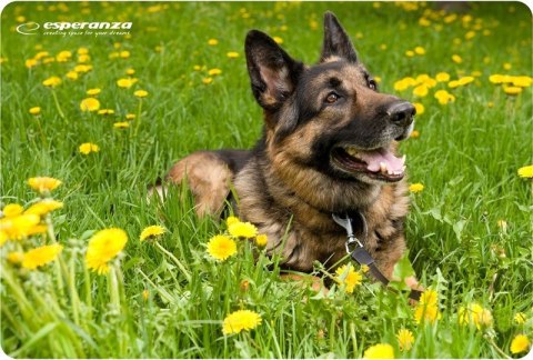 Esperanza Podkładka pod mysz Esperanza Foto Mix EA133