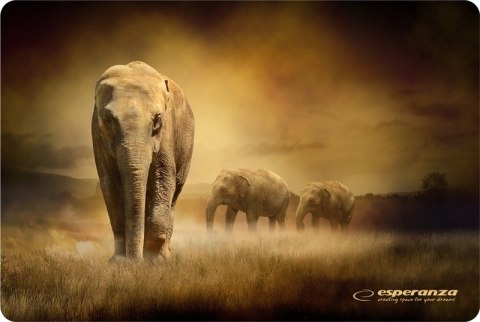 Esperanza Podkładka pod mysz Esperanza Foto Mix EA133