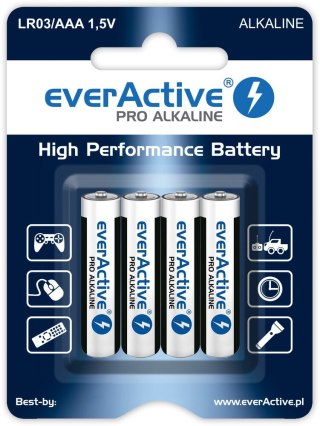 EverActive Zestaw baterii alkaliczne everActive LR64BLPA (x 4)