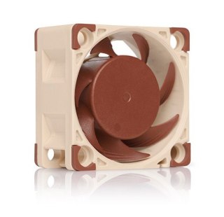 Noctua Wentylator NOCTUA NF-A4X20 40x20 mm PWM