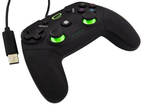 Esperanza Gamepad Esperanza Vanquisher EGG110K (PC, PS3; kolor czarny, kolor zielony)