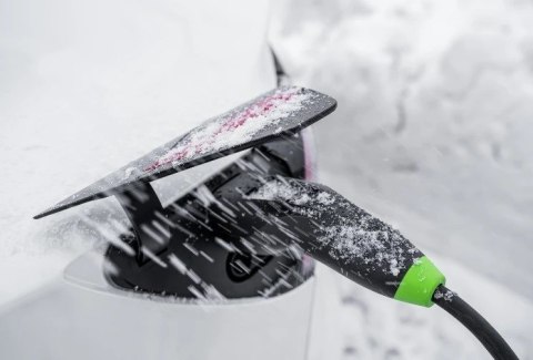 Green Cell Green Cell Habu Ładowarka mobilna EV 11 kW 7 m Typ 2 CEE