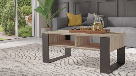 TOP E SHOP Stolik ława MODERN 2P 90x58xH50 sonoma/czarny