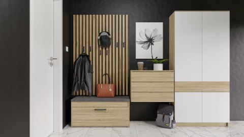 TOP E SHOP Szafka na buty ze schowkiem PARMA 100x35xH49 sonoma