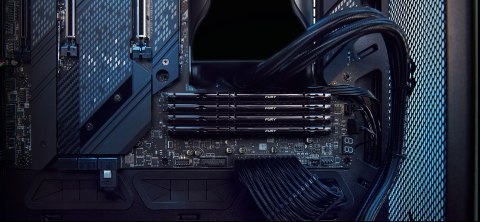 Kingston Kingston FURY DDR5 32GB (1x32GB) 5200MHz CL40 Beast Black