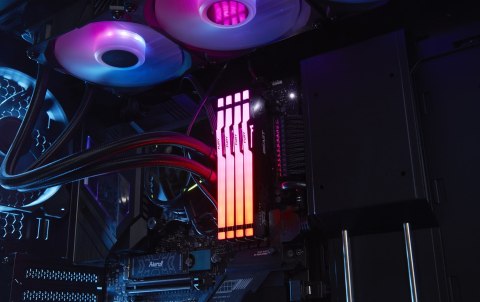 Kingston Kingston FURY DDR5 64GB (2x32GB) 6000MHz CL36 Beast Black RGB EXPO