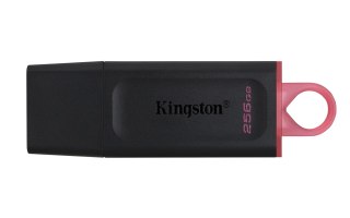 Kingston KINGSTON FLASH 256GB USB3.2 Gen1 DataTraveler Exodia (B+P)