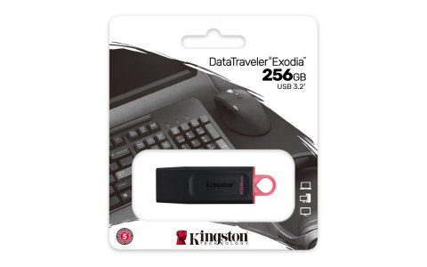Kingston KINGSTON FLASH 256GB USB3.2 Gen1 DataTraveler Exodia (B+P)
