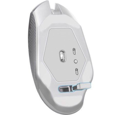 Defender DEFENDER MYSZ GM-514 GLORY OPTIC RF RGB 3200DPI 7P BIAŁA 52513