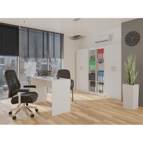 TOP E SHOP Szafa aktowa OLIV 2D 74x35xH180 biały