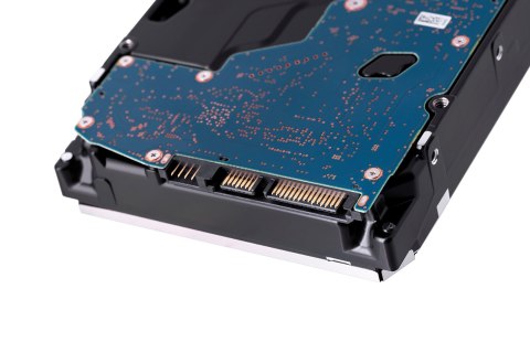 Synology Synology HDD Plus Series (16 TB; 3.5"; SATA) HAT3310-16T