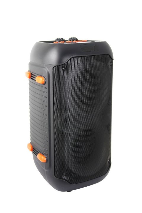 Esperanza ESPERANZA GŁOŚNIK BT FM LED RGB KARAOKE SINGER EP156