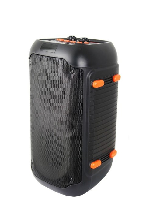 Esperanza ESPERANZA GŁOŚNIK BT FM LED RGB KARAOKE SINGER EP156