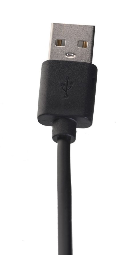 GEMBIRD Kabel GEMBIRD CC-USB2-AMLM-2M (USB 2.0 M - Lightning M; 2m; kolor czarny)