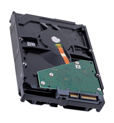 Synology Synology HDD Plus Series (6TB; 3.5"; SATA) HAT3300-6T