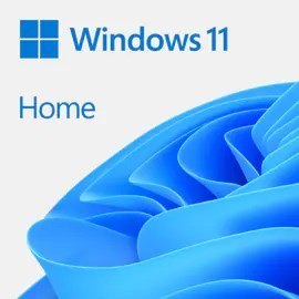 Microsoft (OEM) WIN HOME 11 64-bit All Lang Online Product Key ESD