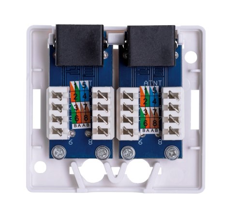 Lanberg Gniazdo natynkowe Lanberg OU6-0002-W (RJ-45; UTP; kolor biały)