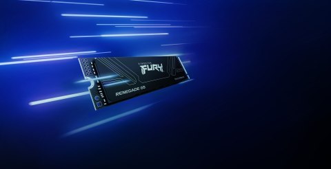 Kingston KINGSTON DYSK SSD SFYR2S/1T0 1TB FURY Ren. NVMe