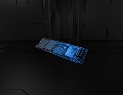 Kingston KINGSTON DYSK SSD SFYR2S/1T0 1TB FURY Ren. NVMe