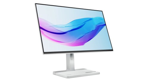 Lenovo Lenovo L24m-4A 23.8"FHD IPS 100Hz 250nits AG HDMI DP USB Cloud Grey