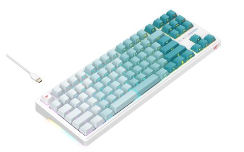 HAVIT Klawiatura gamingowa Havit KB901L (biało-zielony)