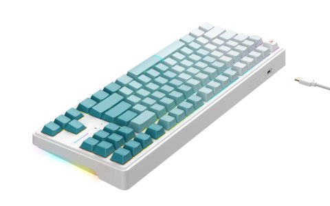 HAVIT Klawiatura gamingowa Havit KB901L (biało-zielony)