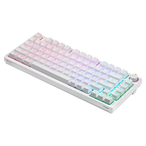 SAVIO SAVIO KLAWIATURA MECHANICZNA BEZPRZEWODOWA PHENIX WHITE GATERON RED PRO ABS