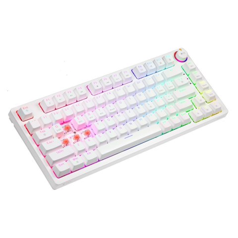 SAVIO SAVIO KLAWIATURA MECHANICZNA BEZPRZEWODOWA PHENIX WHITE GATERON RED PRO ABS