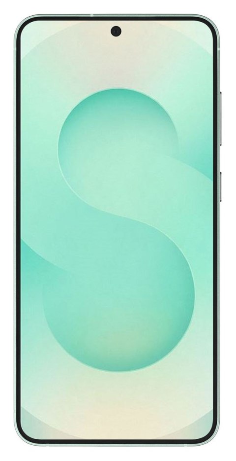 Samsung Samsung Galaxy S25 (S931) 5G DS 12/256GB Mint