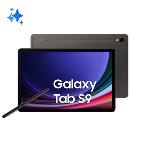 Samsung Samsung Galaxy Tab S9 11.0 (X716) 5G 12/256GB Graphite
