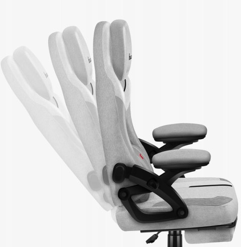 Huzaro Fotel gamingowy Force 4.6 Grey
