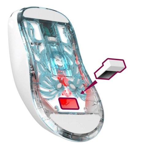 Defender DEFENDER MYSZ BEZPRZEWODOWA FAME GM-516 RF+BT 10000DPI 6P BIAŁA 52516