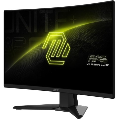MSI Monitor MAG 242C