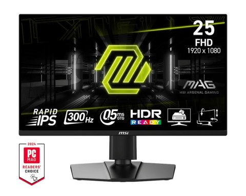 MSI Monitor MAG 255PXF