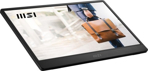 MSI Monitor MSI PRO MP161 E2U