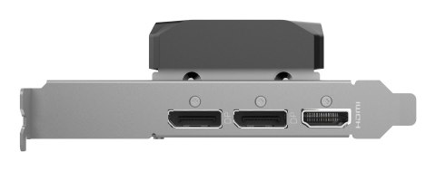 ZOTAC Karta graficzna ZOTAC GAMING GeForce RTX 5060 LP 8GB